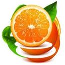 橙子视频官方版